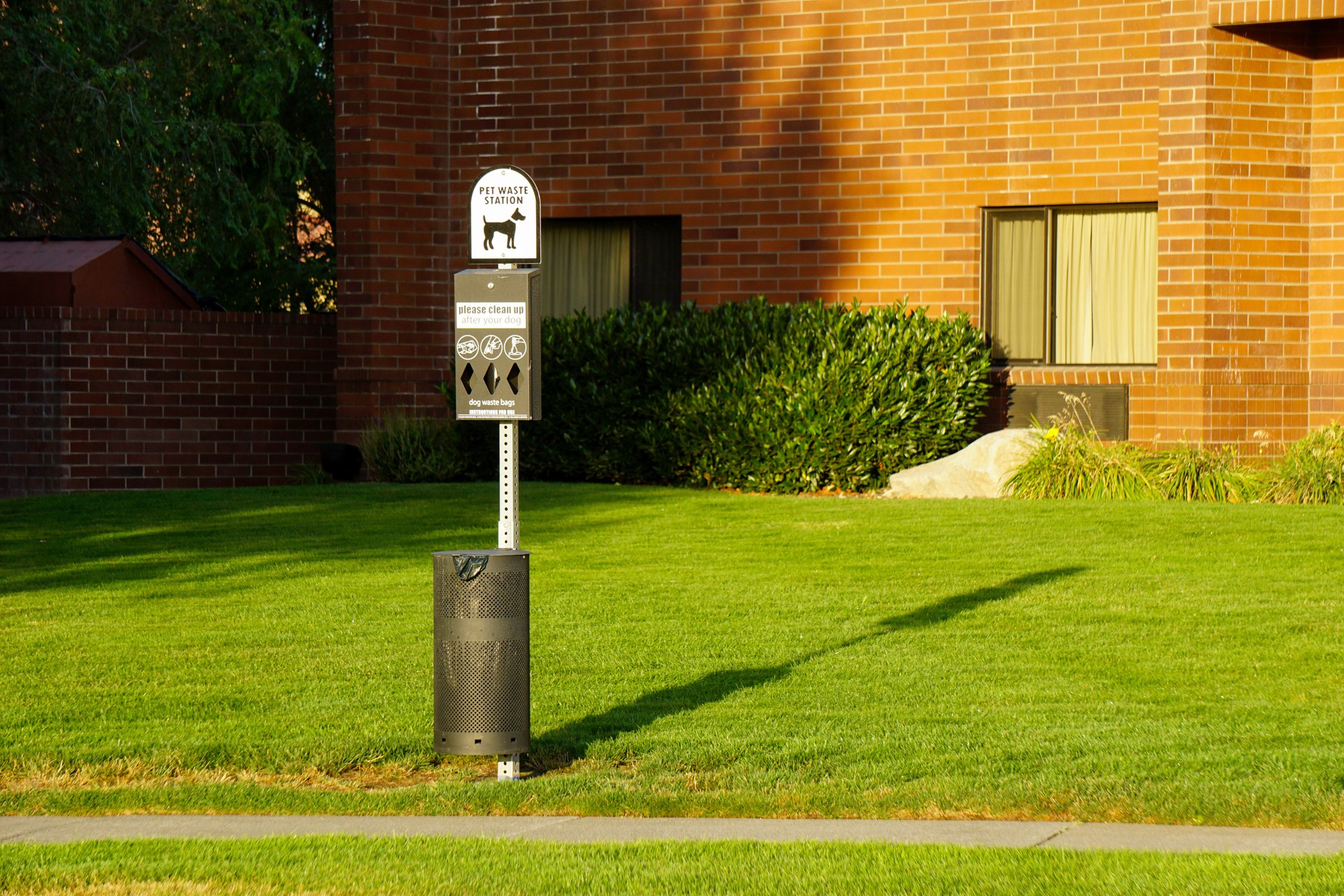 Dog waste station